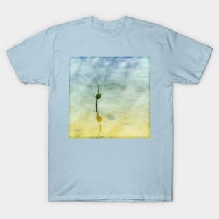 Mangrove with Shadow and Reflection T-Shirt